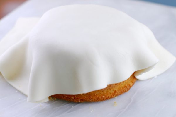 donnascakedecoratingsupplies-r2r-icing